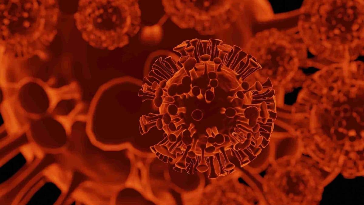 A coronavirus model rendered in 3D with a red colour scheme.