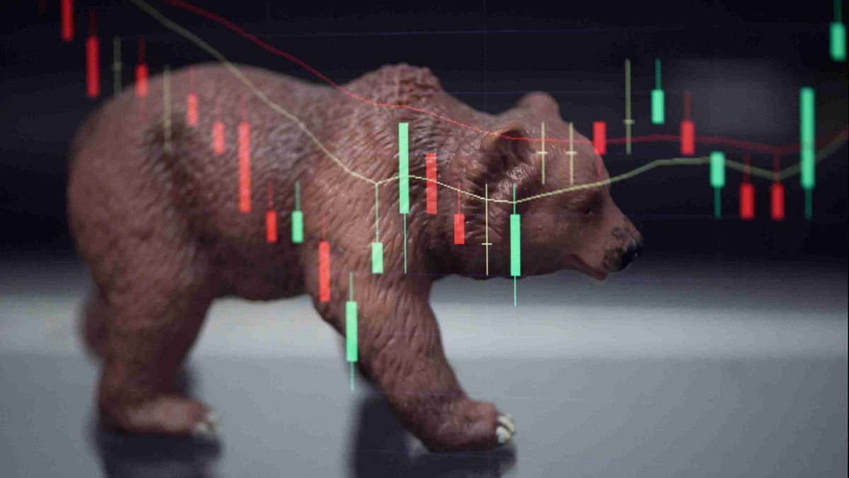 An illustration of a bear walking and a trading pattern on the background
