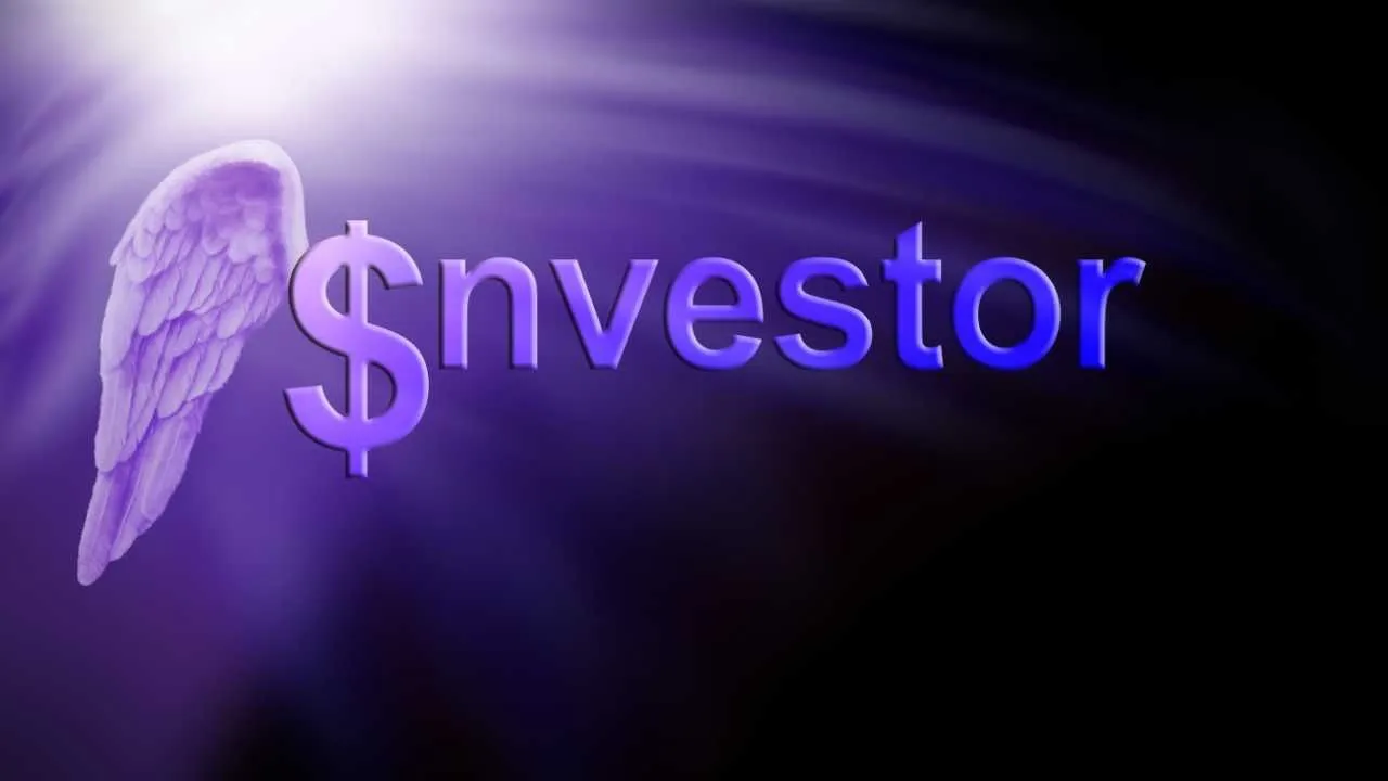 Graphic with the word $nvestor and a wing on a purple background
