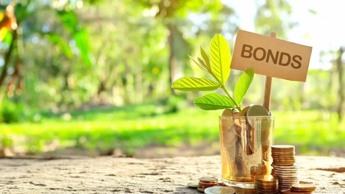 Investment on bonds concept. Coins in a jar with soil and growing plant in nature background.