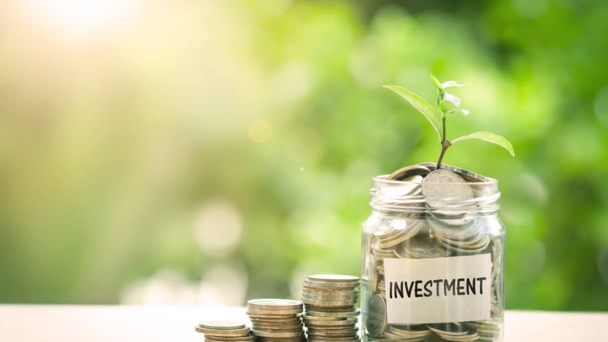 Plant growing in Coins glass jar with investment paper label for money saving and investment financial concept
