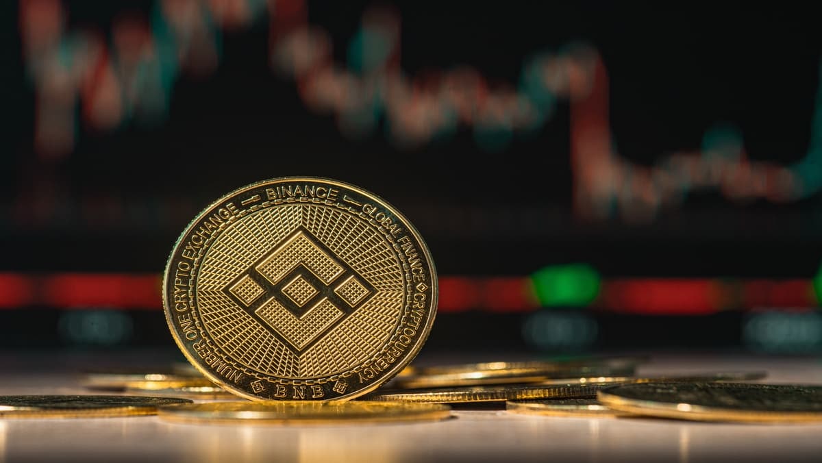 bnb-coin-price.jpg