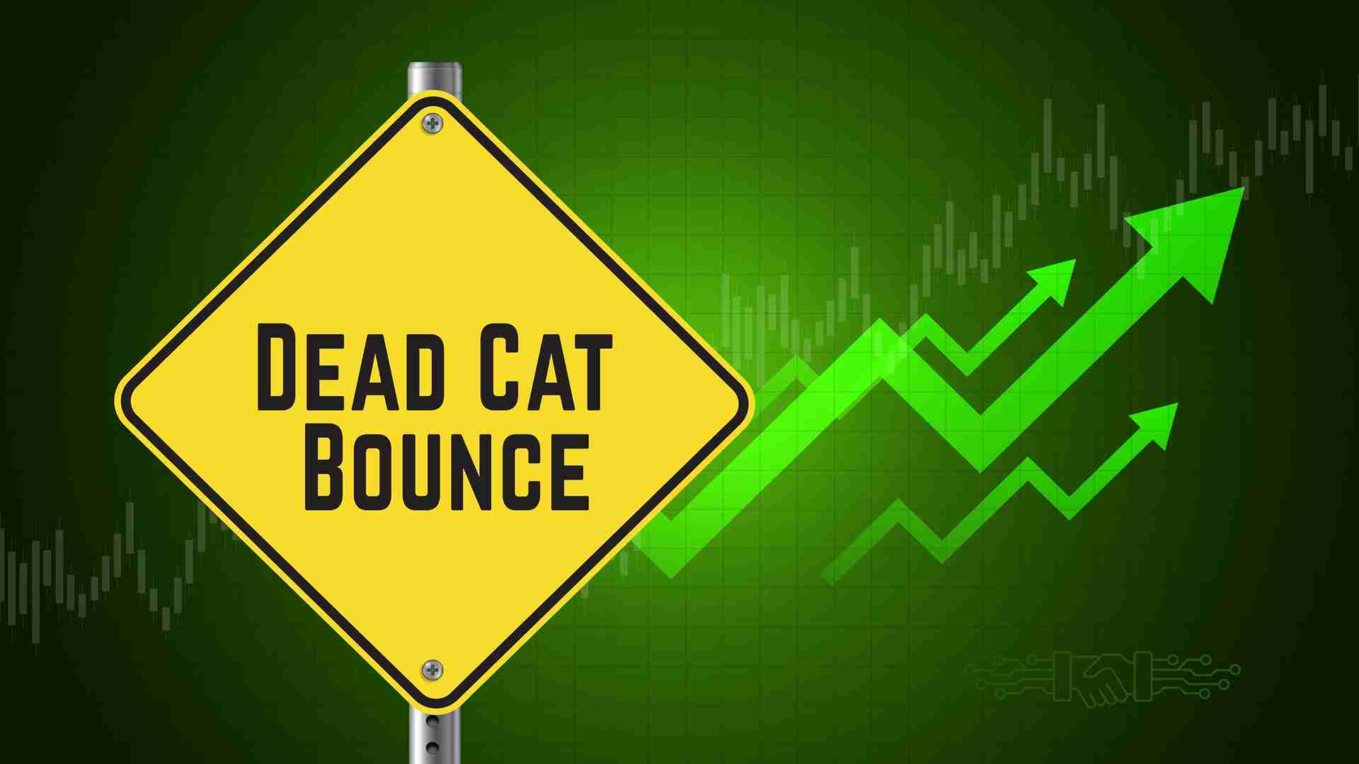 dead-cat-bounce.jpg