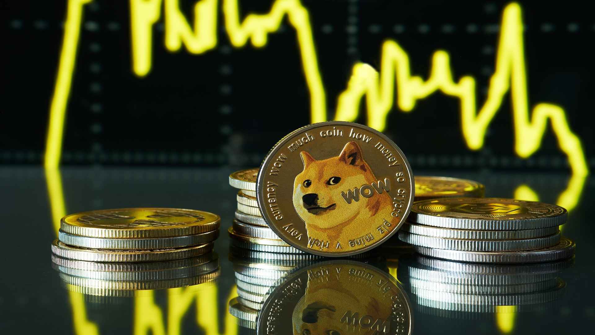 dogecoin-3.jpg