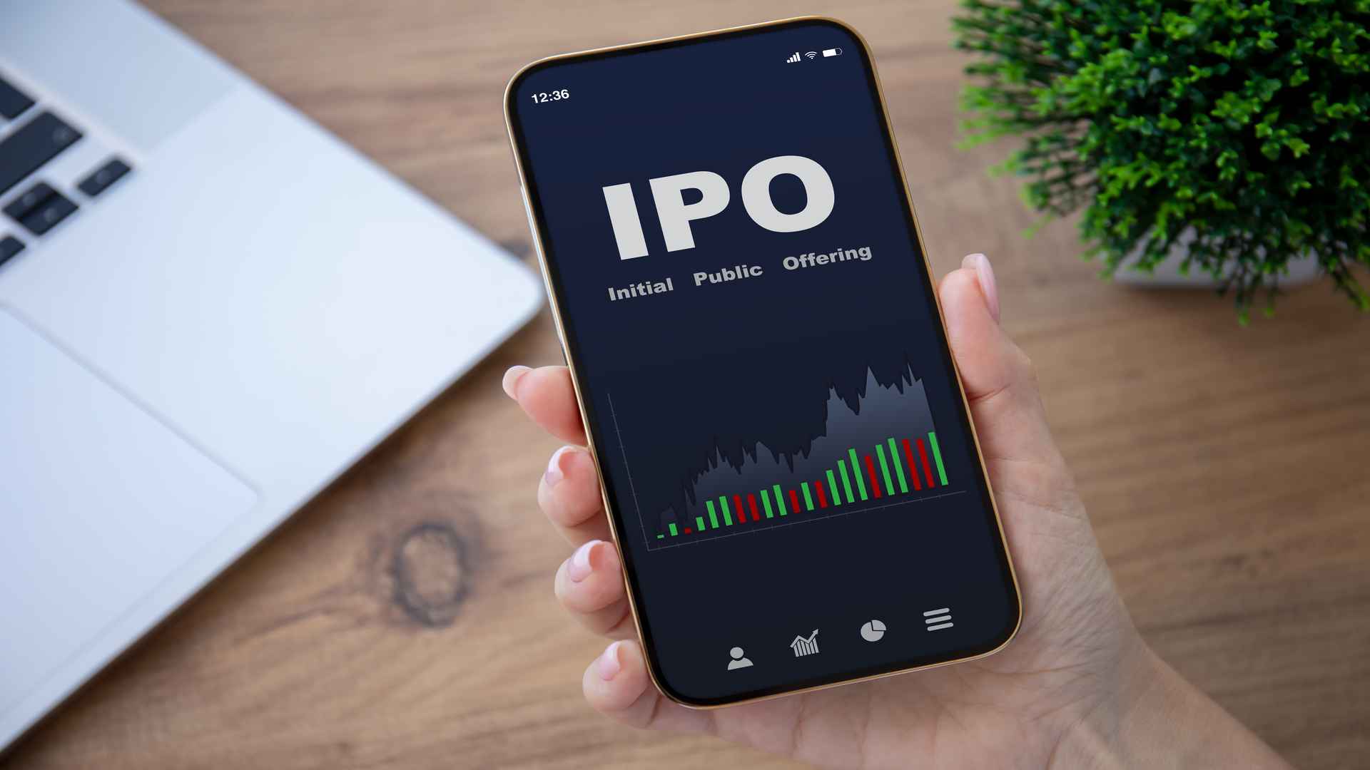 ipo-2.jpg
