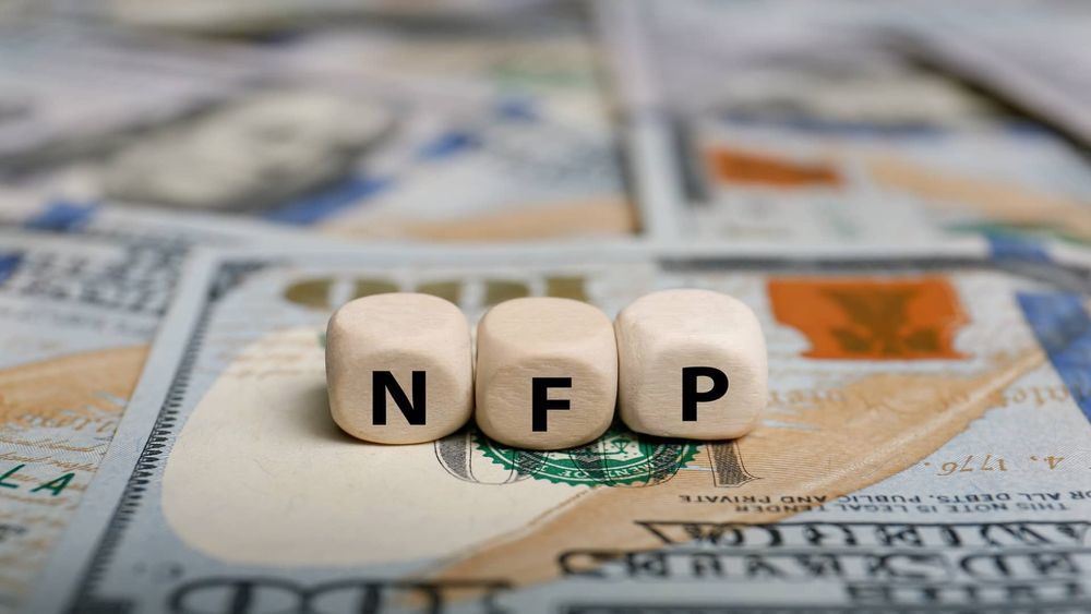 n-f-p.jpg