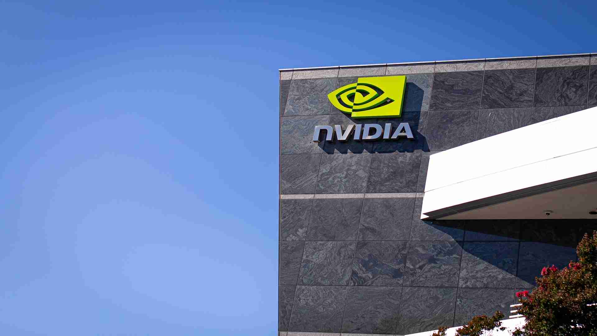 nvidia.jpg