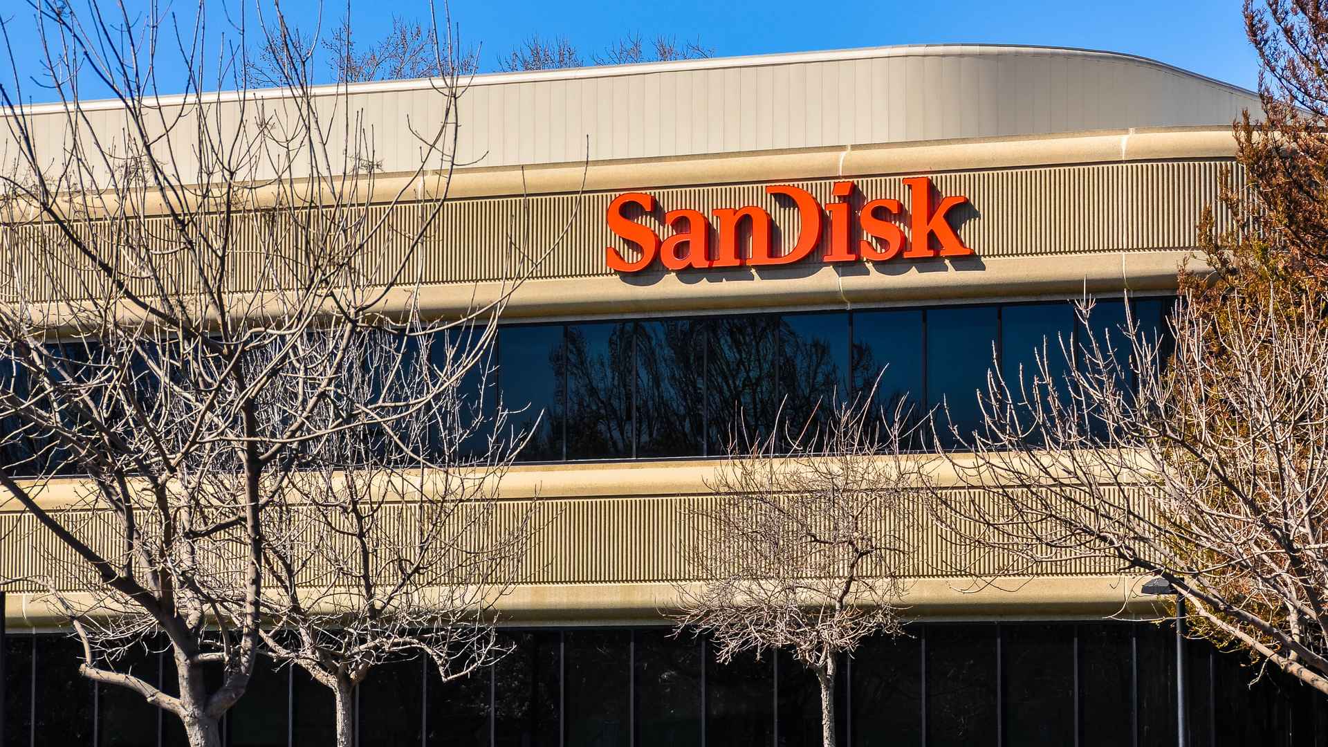 sandisk-stock