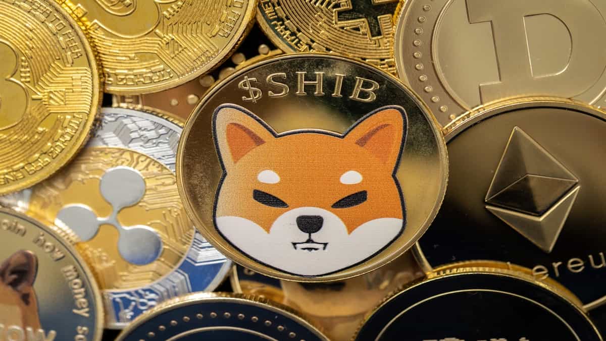shiba-nu-price-news.jpg