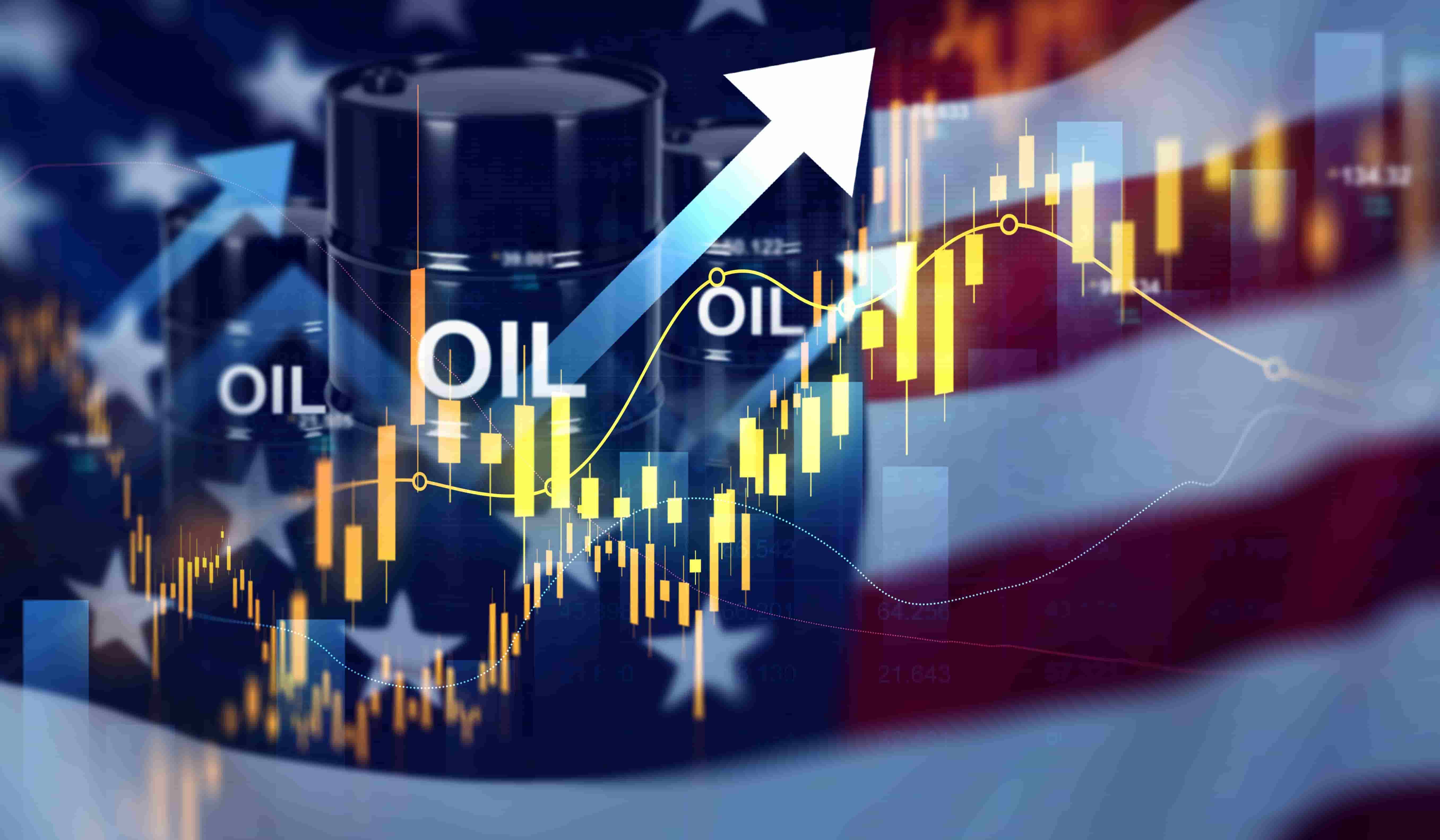 What Factors Drive Crude Oil Price Fluctuations